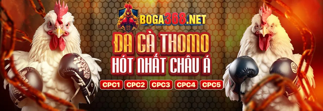 Hướng dẫn tải qqq88 casino cho Android